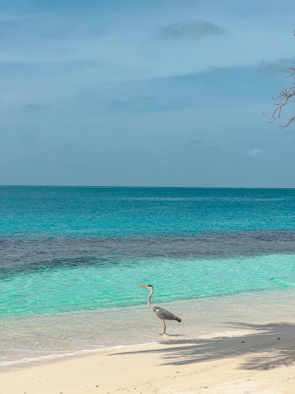 Infinite Lagoon Mandhoo Buitenkant foto